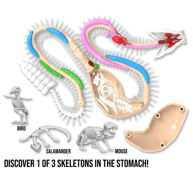 Rattlesnake Super Lab