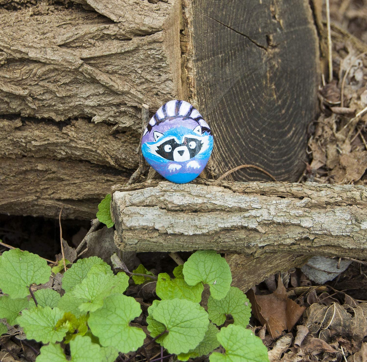 Hide N Seek Rock Painting