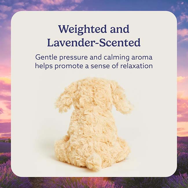 Golden Dog Jr. Warmie