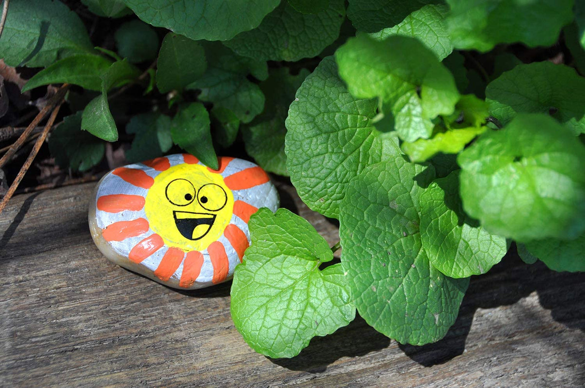 Hide N Seek Rock Painting