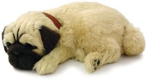 Pug Perfect Petzzz