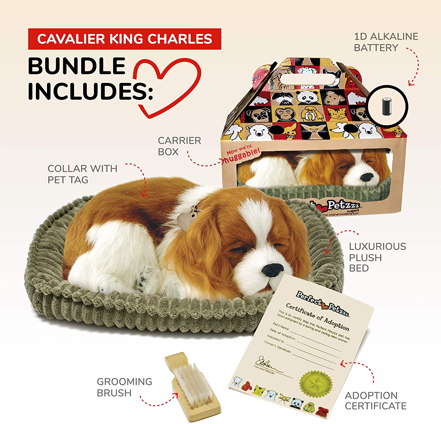 Cavalier King Charles