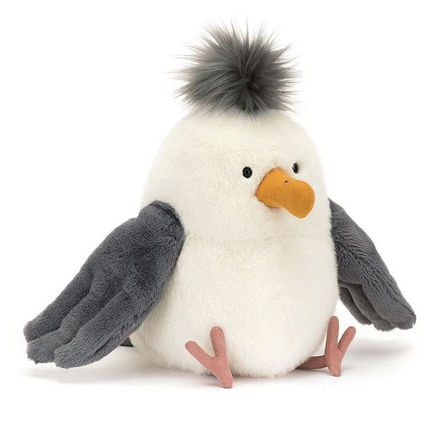 Chip Seagull