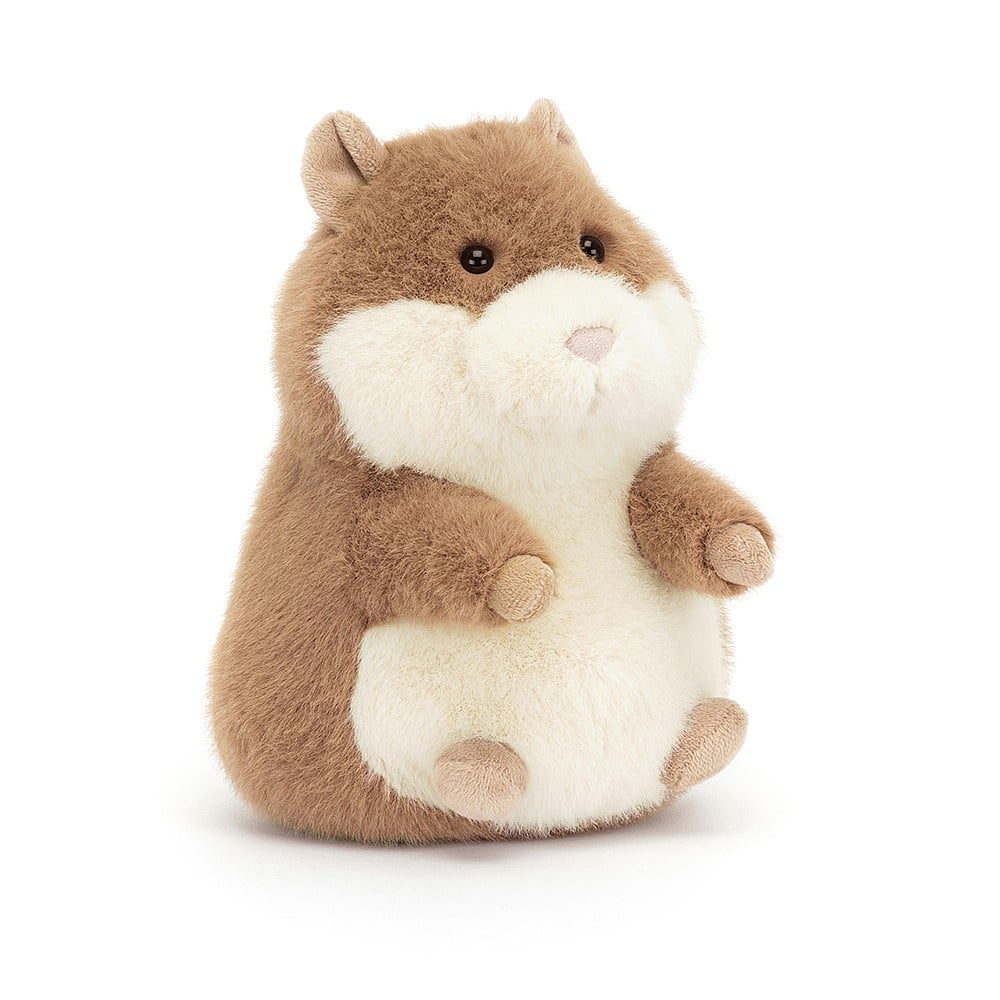 Gordie Guinea Pig