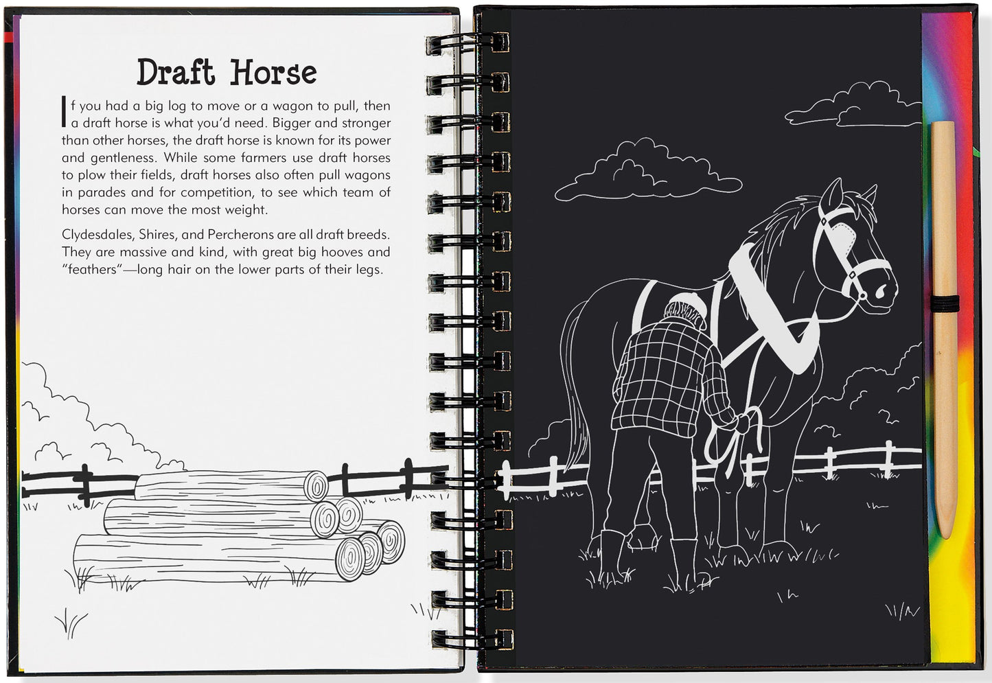 Scratch & Sketch Horses