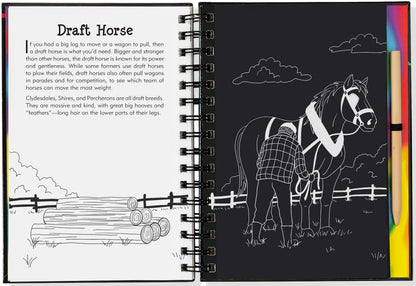 Scratch & Sketch Horses