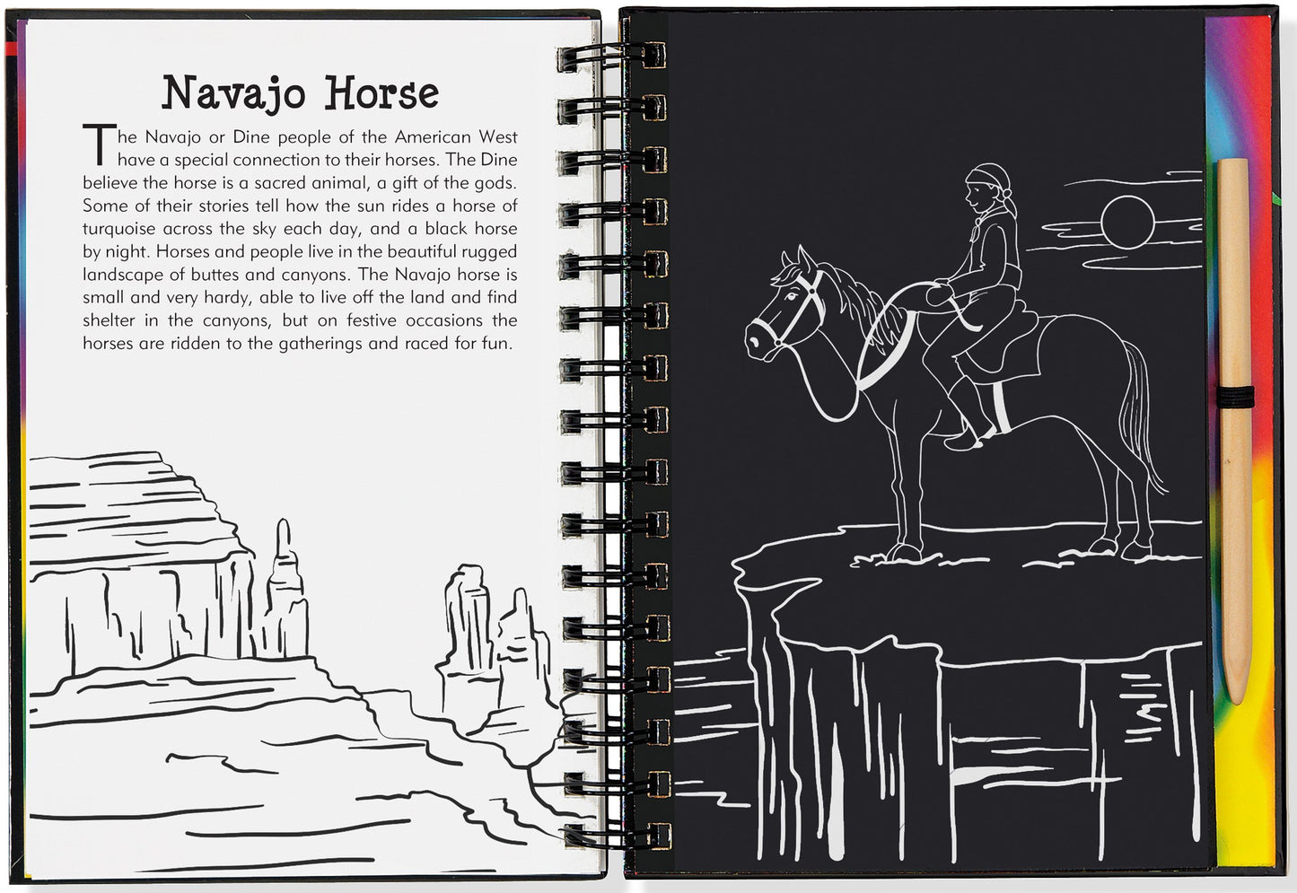 Scratch & Sketch Horses
