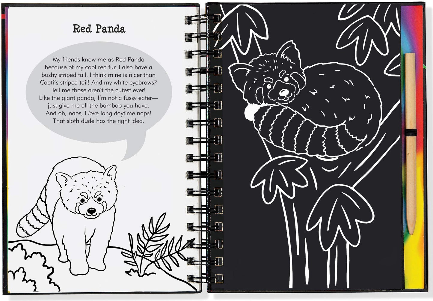 Scratch & Sketch Sloth