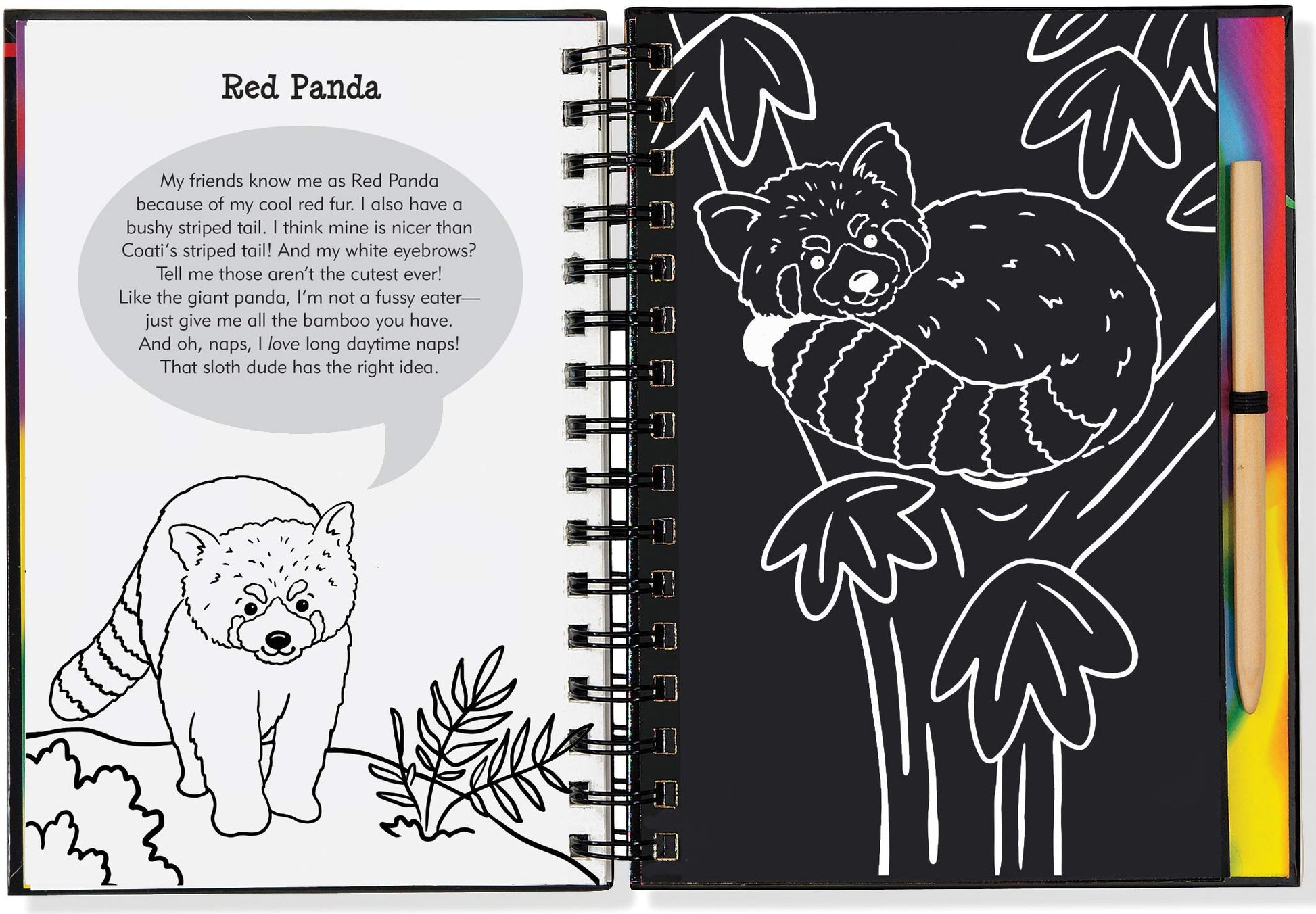 Scratch & Sketch Sloth