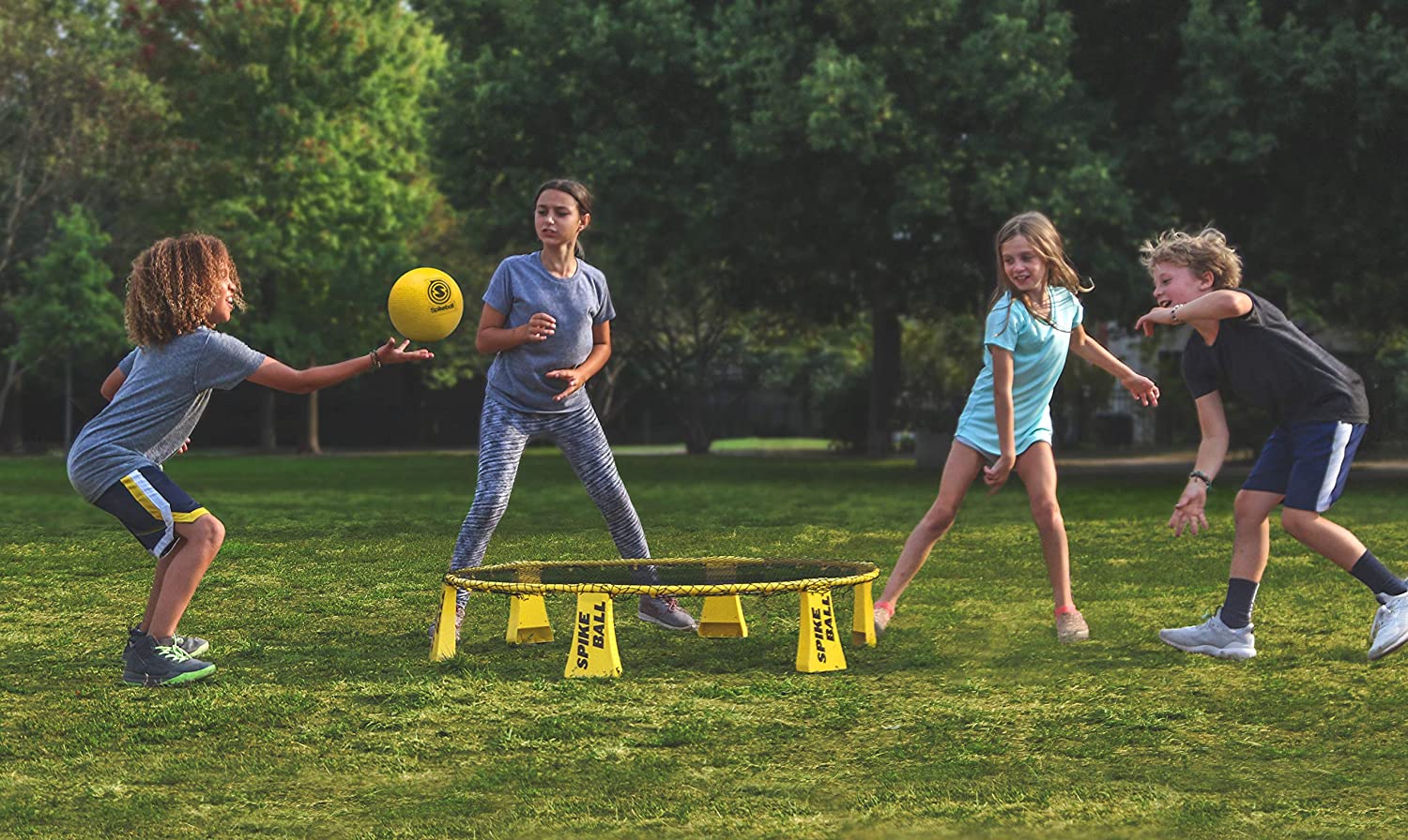 Spikeball Rookie Set