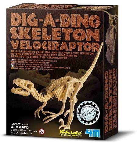 Dig-a-Dino Kit