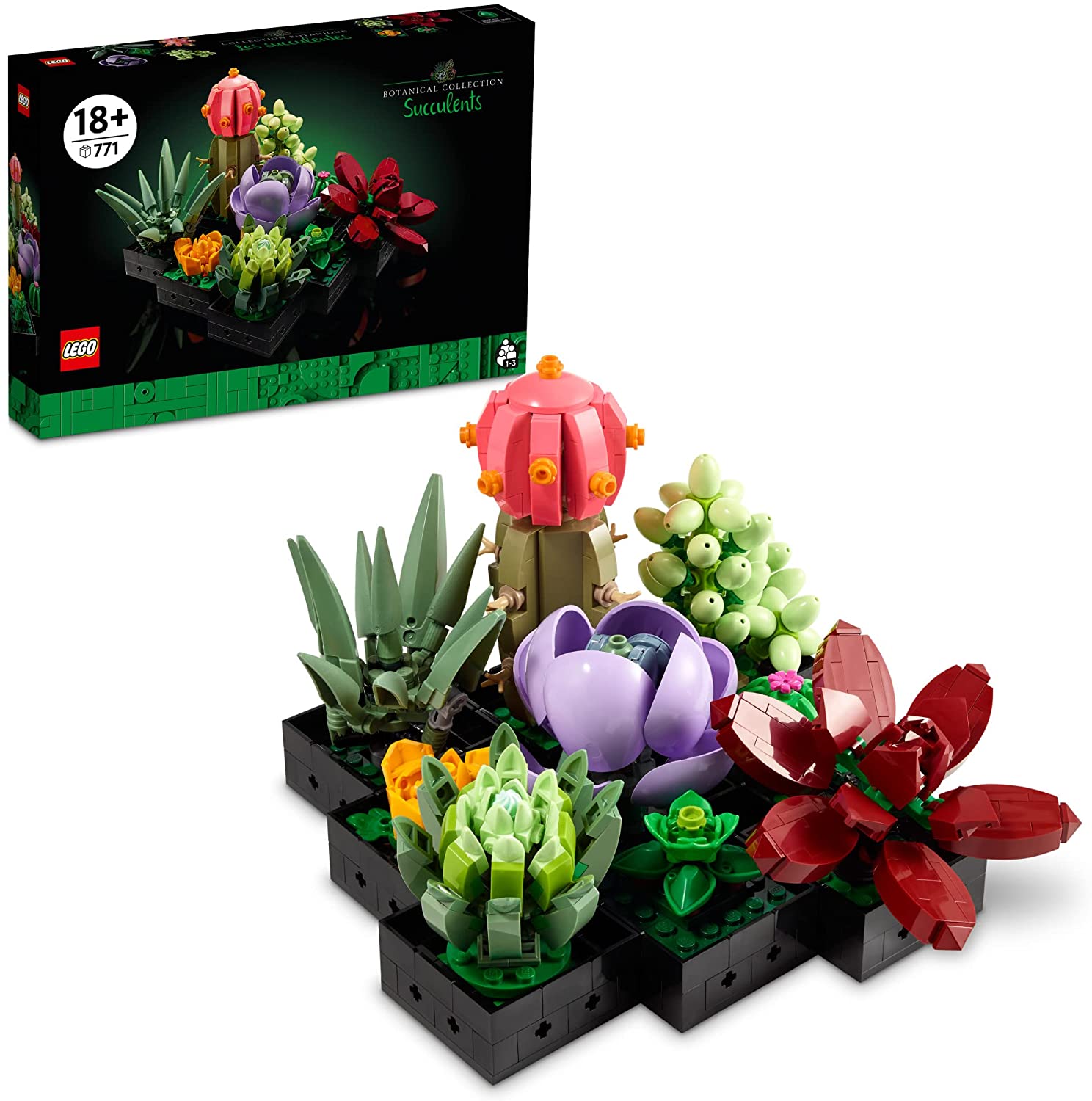 Icons Succulents