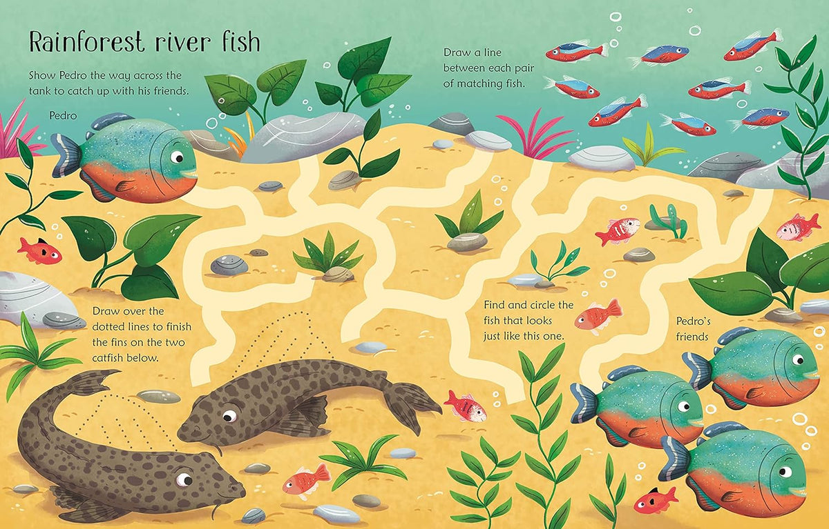 Wipe Clean Aquarium