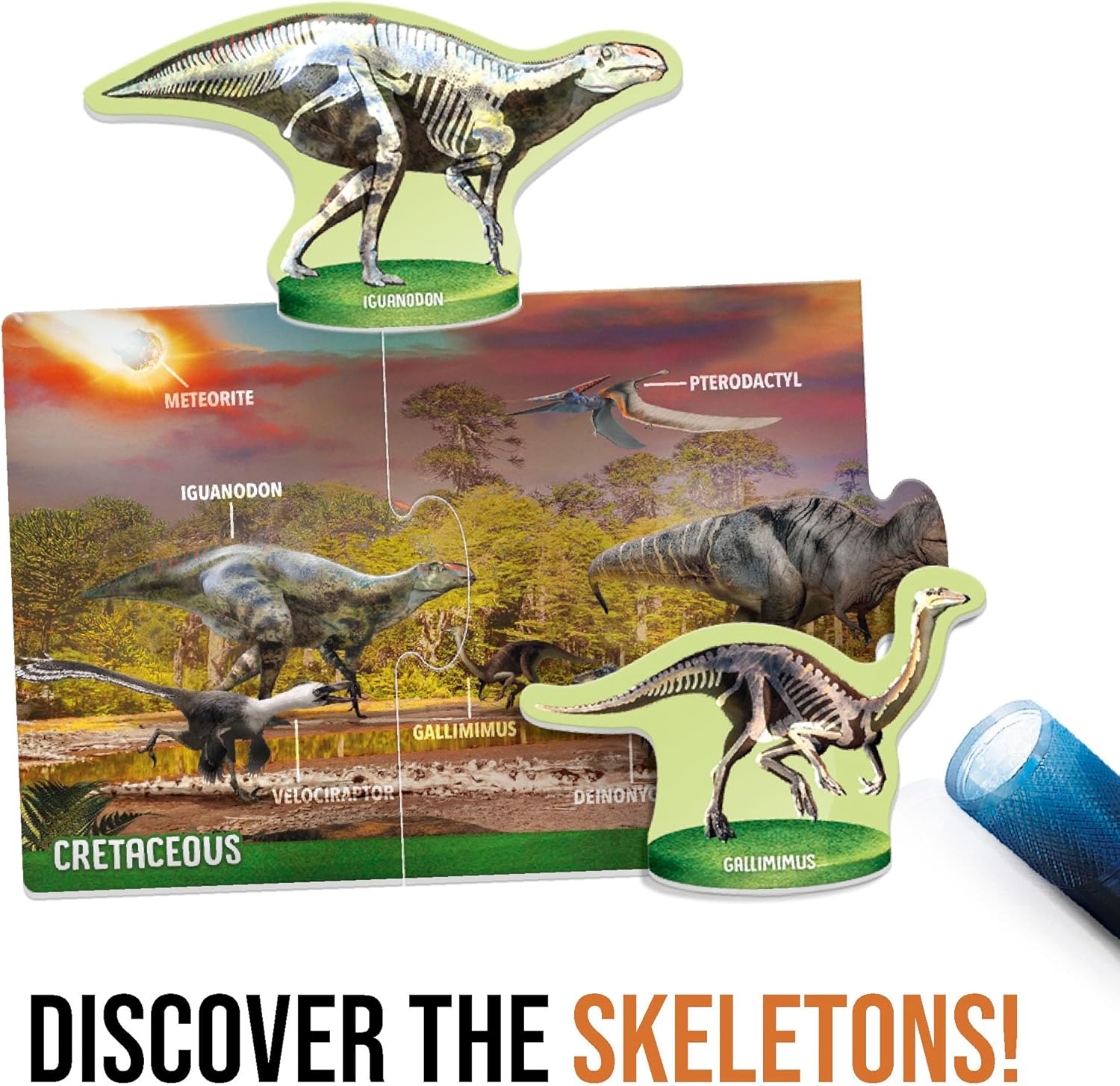 Dinosaurs Under the X-Ray