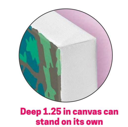 Paint Number Butterflies