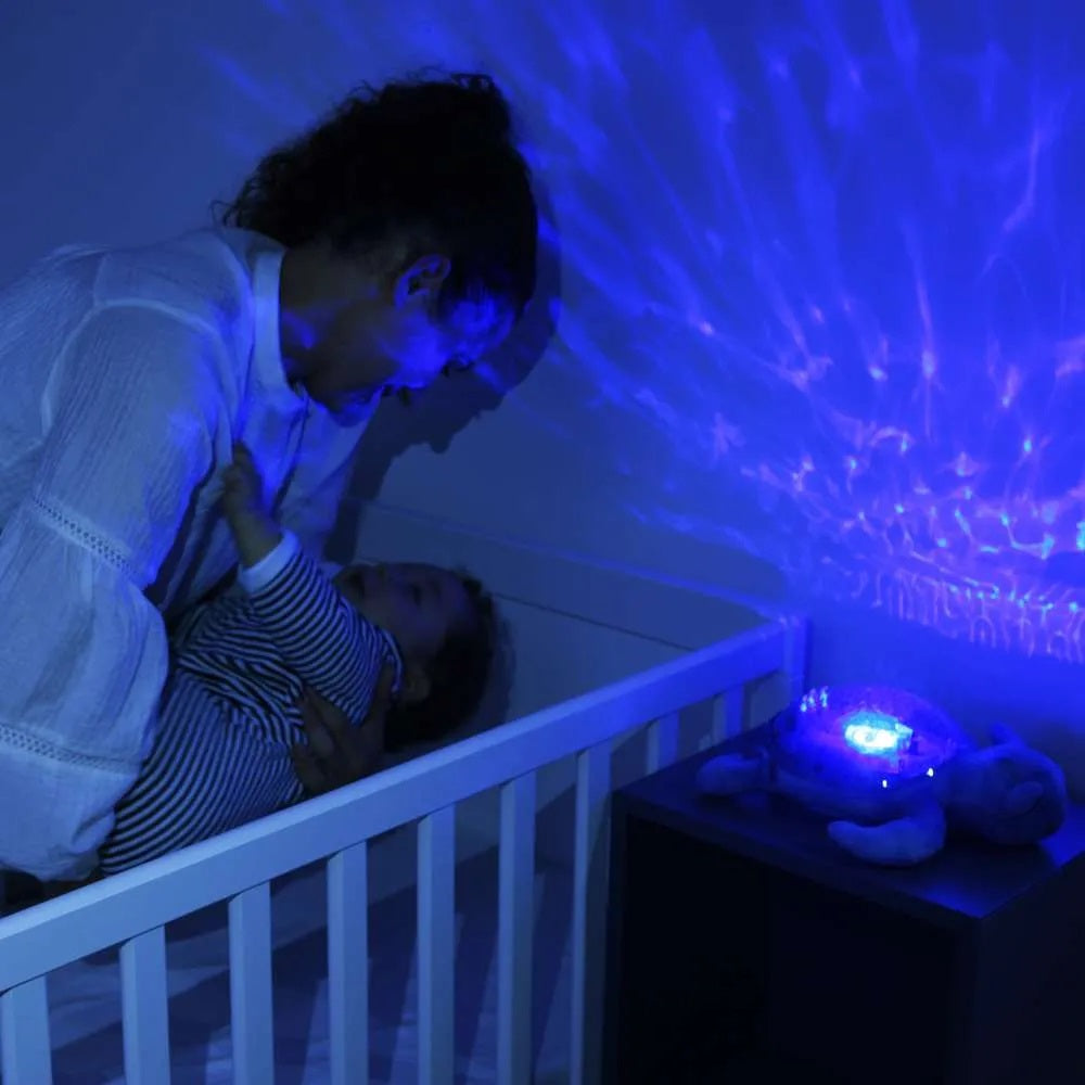 Tranquil Turtle Purple