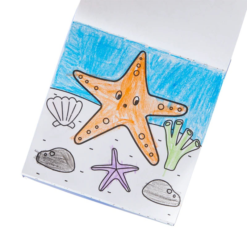 Color N Carry Sea Life