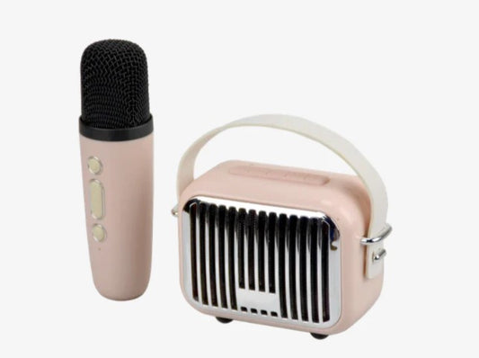 Mini Karaoke: Pink
