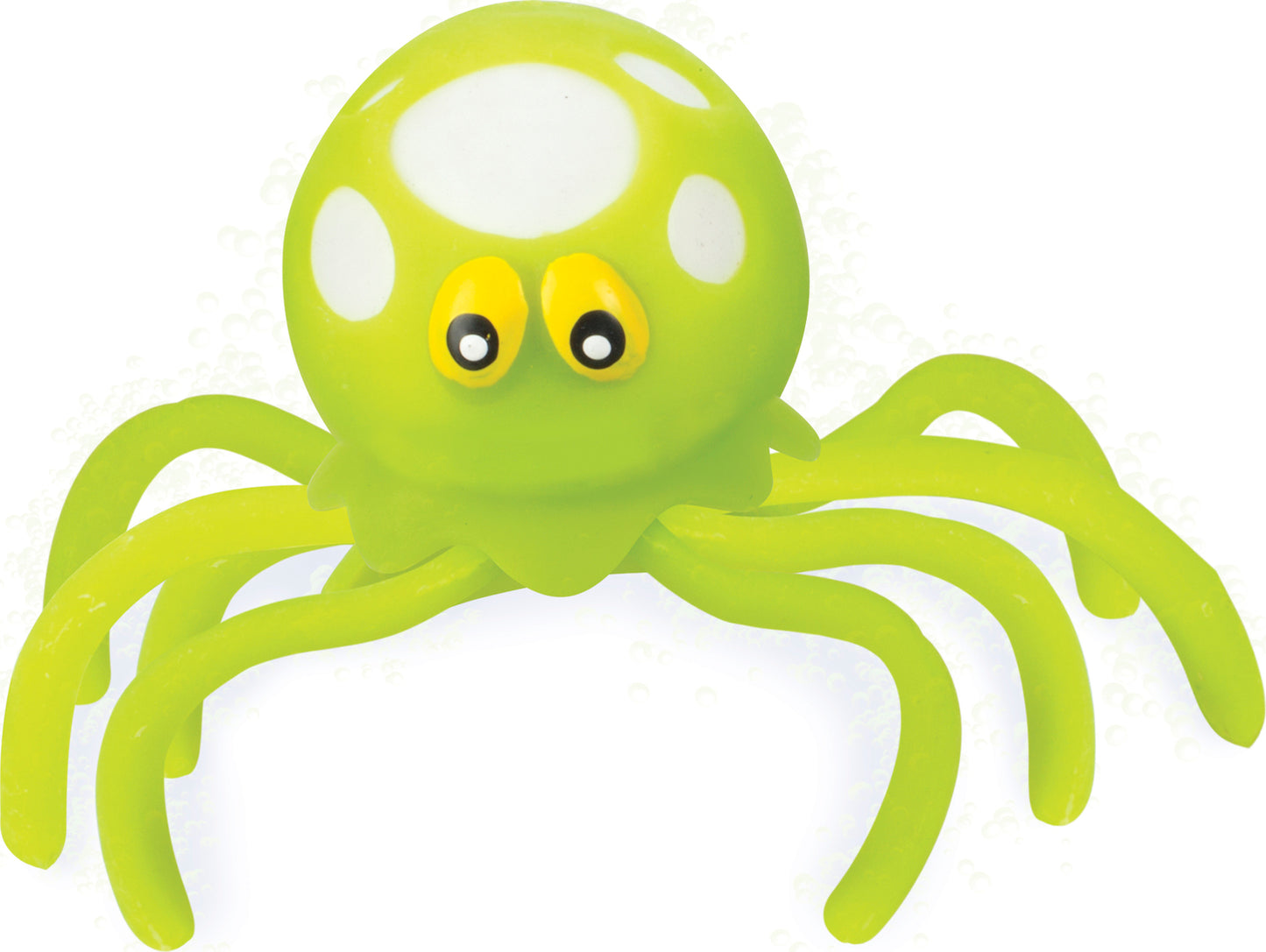 Luminus Octopus